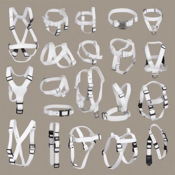 White Dog Harnesses in Different Sizes