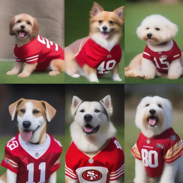 Different Styles of 49ers Dog Jerseys