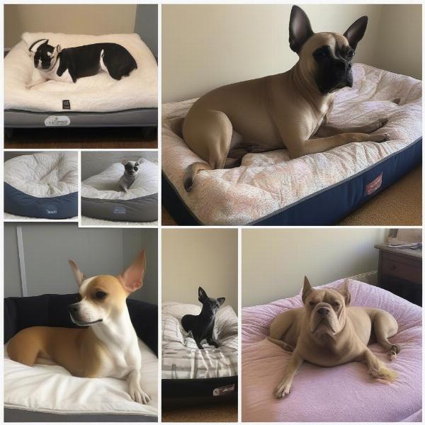 Adjustable Dog Bed for Different Breeds