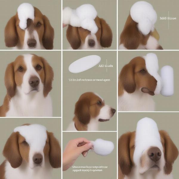 Step-by-step instructions on how to apply dog ear covers.