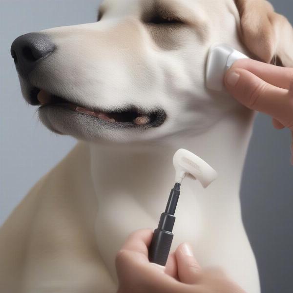 Applying Vectra 3D to a dog