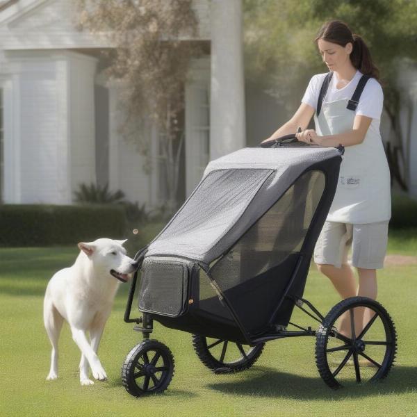 Maintaining a dog buggy