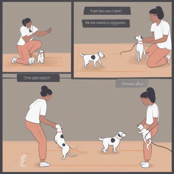 Basic Obedience Training for Dogs