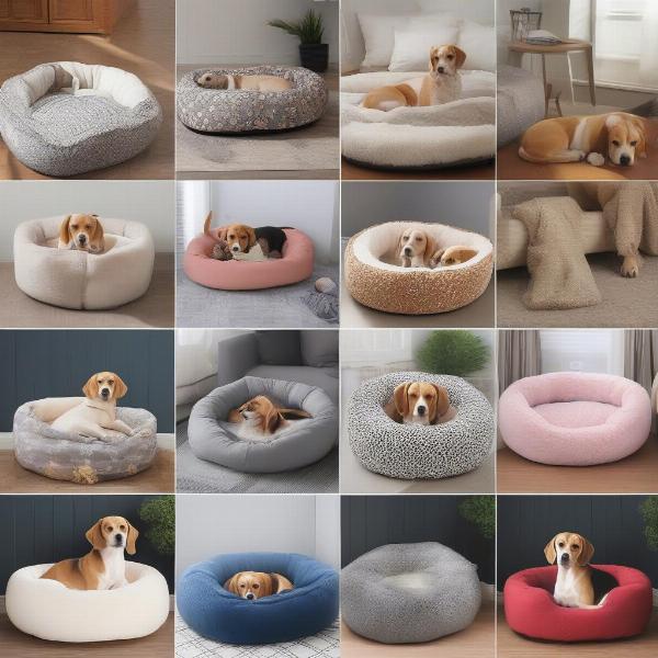 Beagle Dog Bed Styles