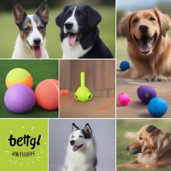 Best Fetch Toys for Dogs