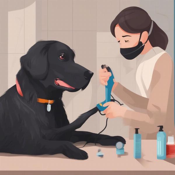 Caring for a Black Dog