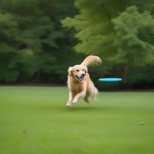 Blue Dog Toy Visibility on Grass