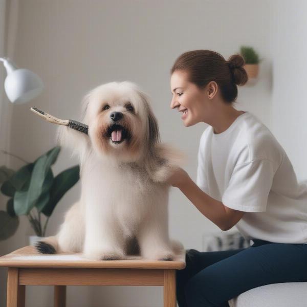 Brushing Dog at Home