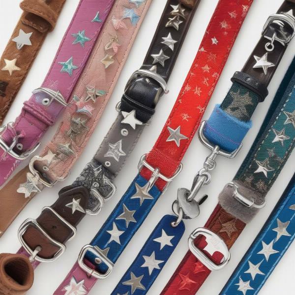 Different styles of star collars for dogs