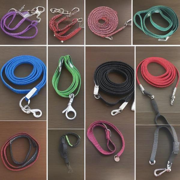 Different types of dog leads for large dogs