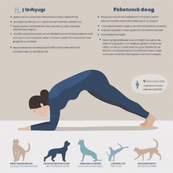 Cat in Downward Dog-like Stretch: Benefits