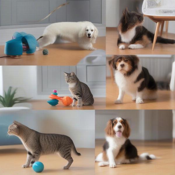 Training a Dog and a Cat