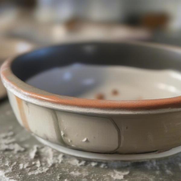 Chipped ceramic dog bowl