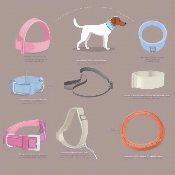 Choosing the right surgical collar for your dog