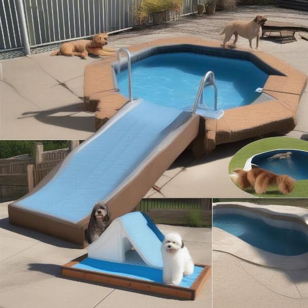 Choosing the right dog ramp for your pool