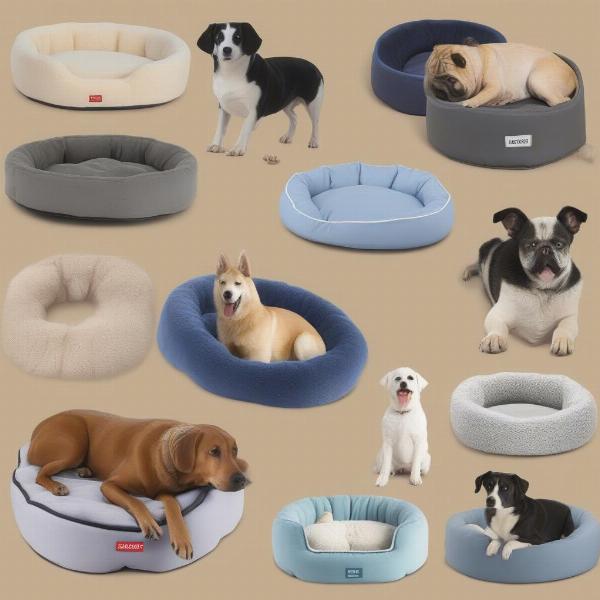 Choosing the right dog bed for your furry friend