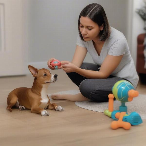 A dog owner selecting a Go Dog Go toy for their dog, considering the dog's size and breed.