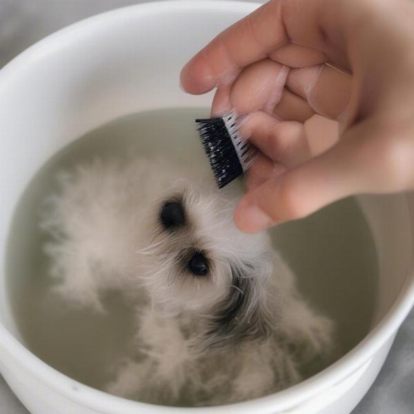 Cleaning dog hair clips with soap and water