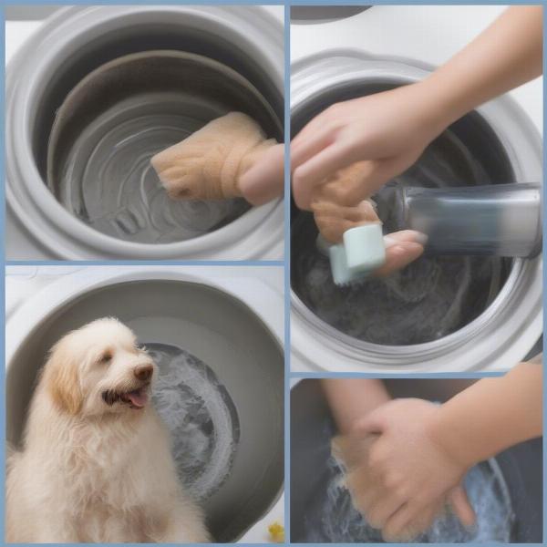 Cleaning and Maintaining Your Dog Paw Washer