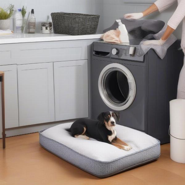 Cleaning a Slumberdown Dog Bed