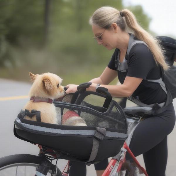 Ensuring Dog Safety on a Bike