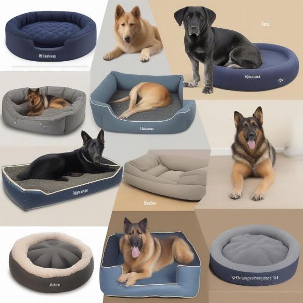 Different dog bed types for German Shepherd Dogs