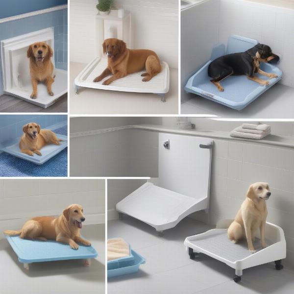 Various types of dog shower trays for different needs