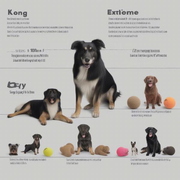 Different sizes of Kong Extreme dog toys