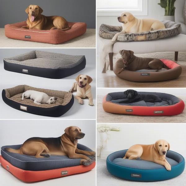 Different Types of Dog Beds for Labradors