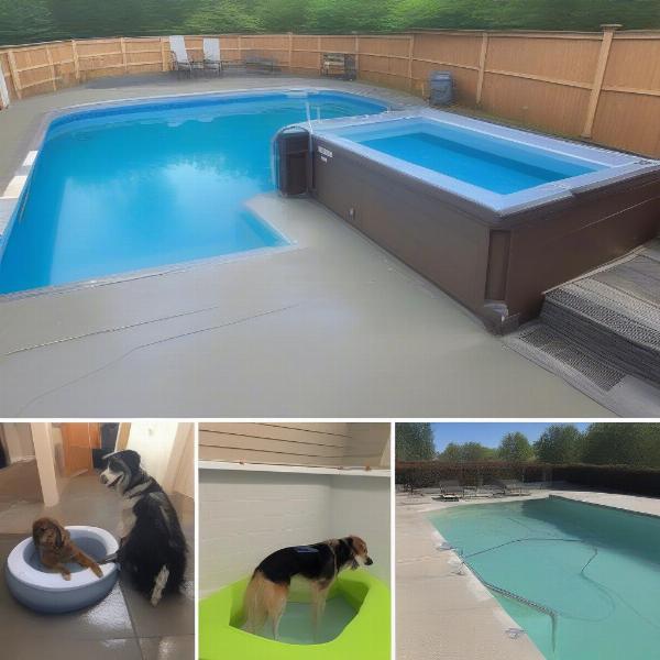 Various hydrotherapy pool options for dogs