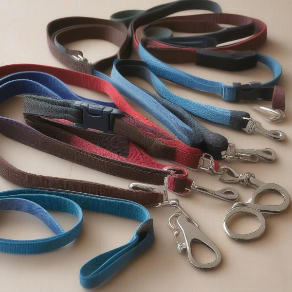 Different Types of Dog Leads for Small Dogs