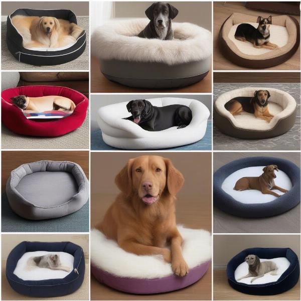 Various dog side beds showcasing different sizes, shapes and materials