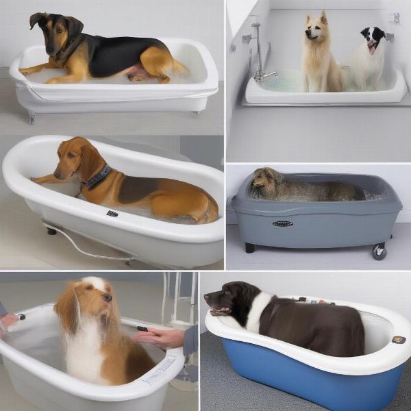 Various hydrobath models for dogs