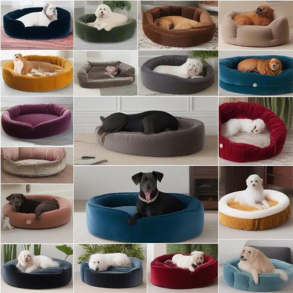 Various styles of velvet dog beds: round, rectangular, bolster