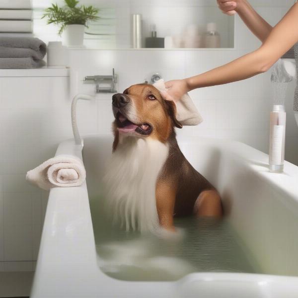 DIY Dog Bathing at Home