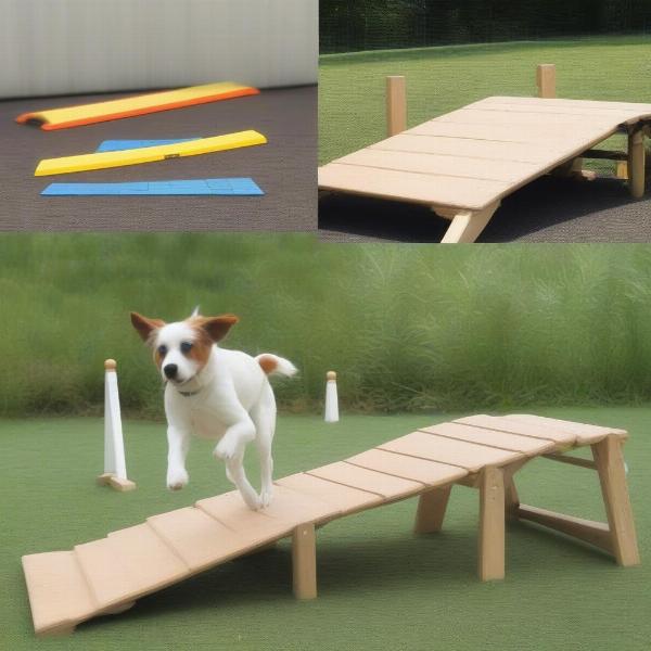 Different Types of Dog Agility Ramps