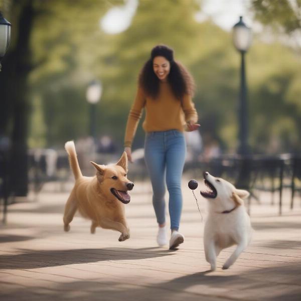 Dog and owner enjoying time together in the park after breakfast