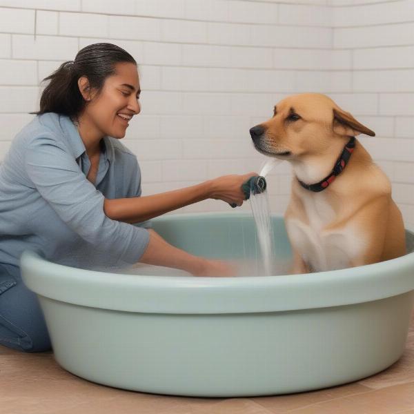 Tips for Stress-Free Dog Bath Time