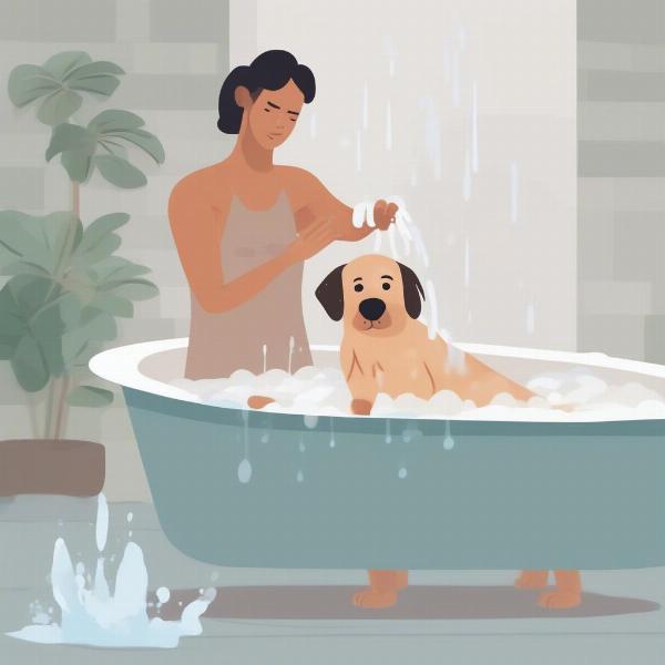 Dog Being Bathed with Gentle Shampoo