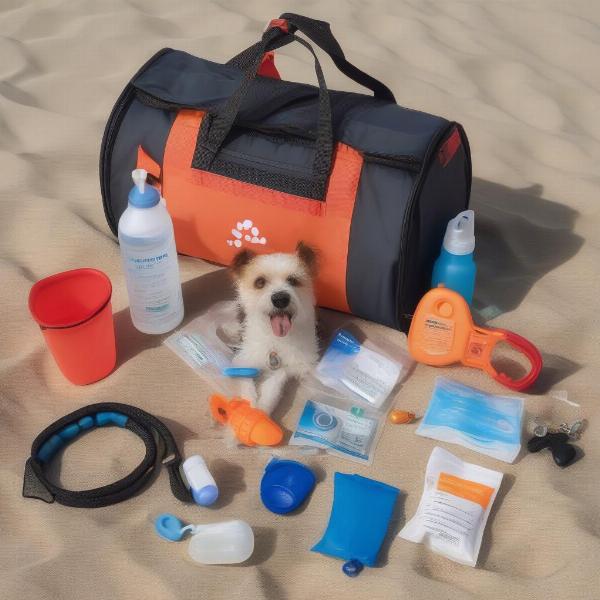 Essential items to pack for a dog-friendly beach trip in Burnham-on-Sea