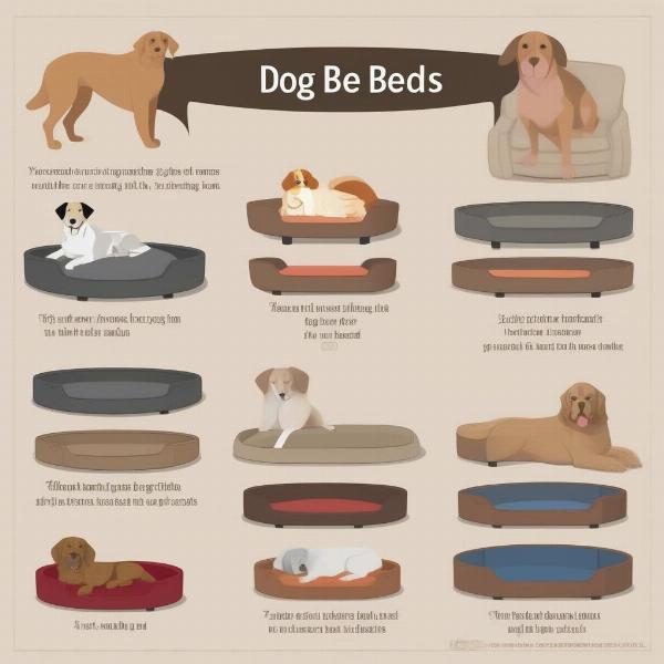 Dog Bed Size Guide UK