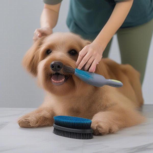 Grooming a Dog with an Anti-Static Brush