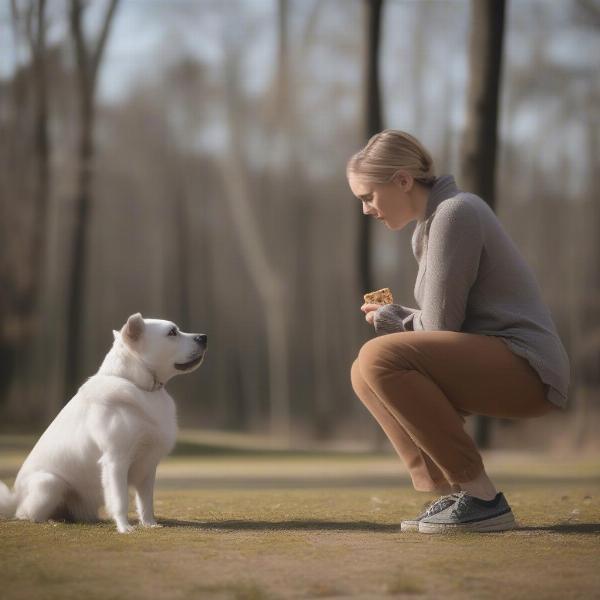 Dog Being Trained with Treats