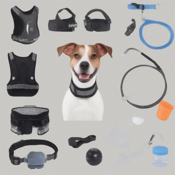 Dog Bike Safety Gear