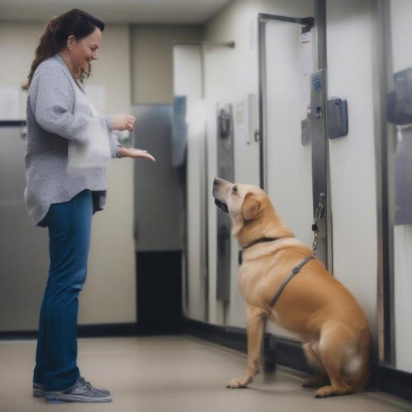 Asking questions about a dog boarding facility in Brandon, FL, before making a decision.