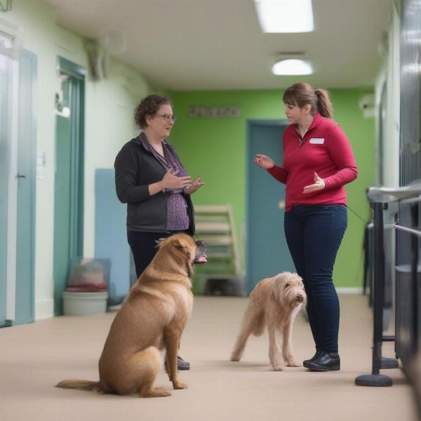 Dog owner meeting staff at a Bury St Edmunds dog boarding facility