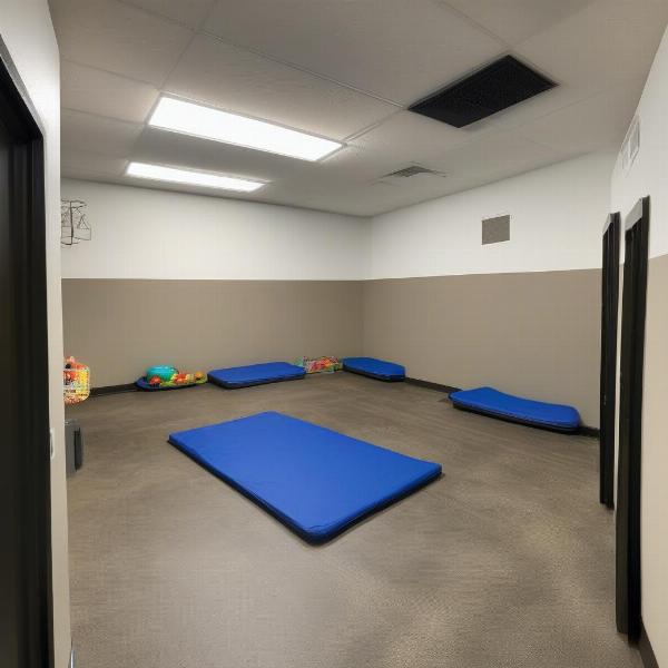 A comfortable kennel at a Wichita dog boarding facility