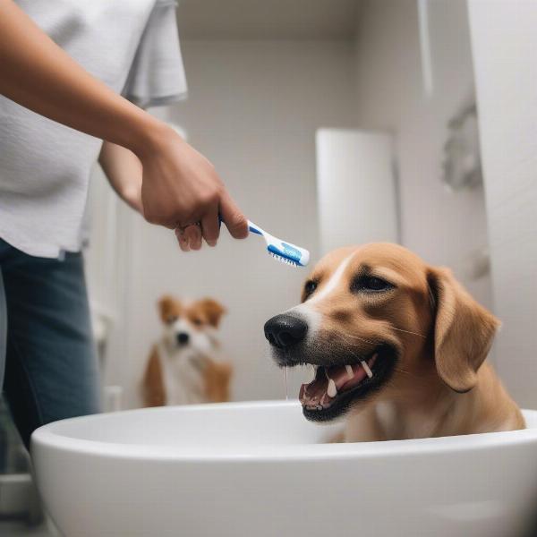 Dog Brushing Teeth