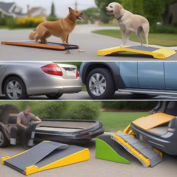 Different types of dog car ramps available in the UK