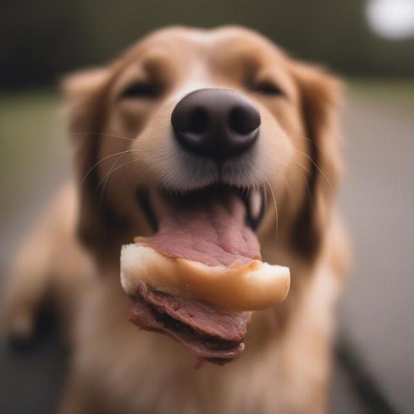 Dog chewing on a beef cheek roll